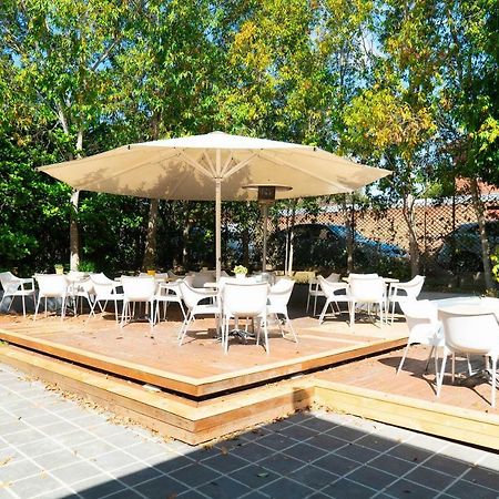 סידני Horse And Jockey Hotel Homebush מראה חיצוני תמונה